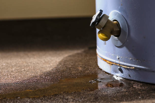 Best Flood damage cleanup  in Pawhuska, OK