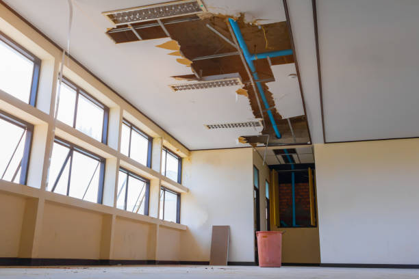 Best Professional water damage repair  in Pawhuska, OK