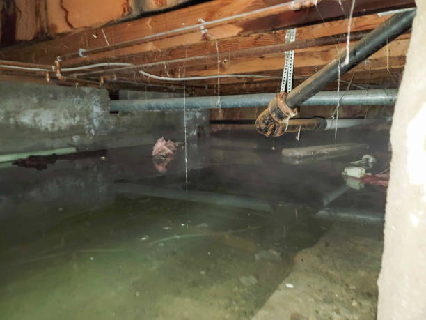 Best Water damage restoration mold remediation  in Pawhuska, OK