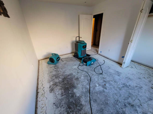 Best Residential water damage restoration  in Pawhuska, OK