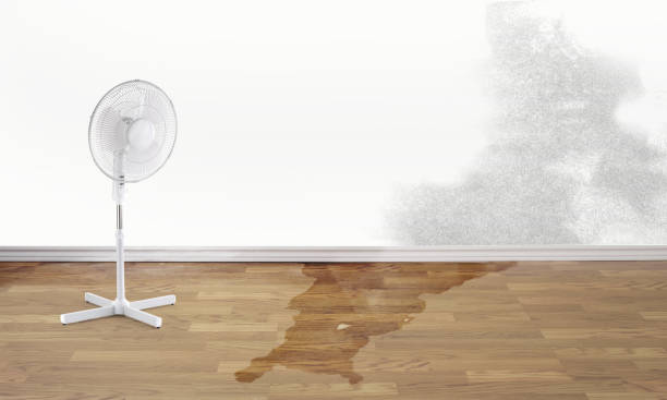 Best Flood damage cleanup  in Pawhuska, OK