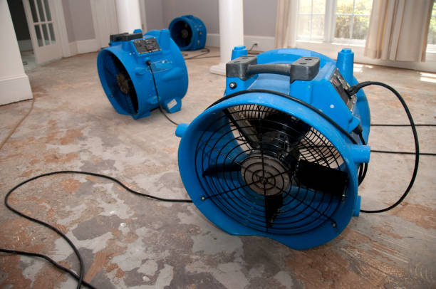 Trusted Pawhuska, OK Water damage restoration Experts