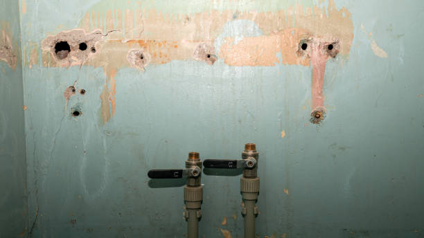Best 24/7 water damage repair  in Pawhuska, OK